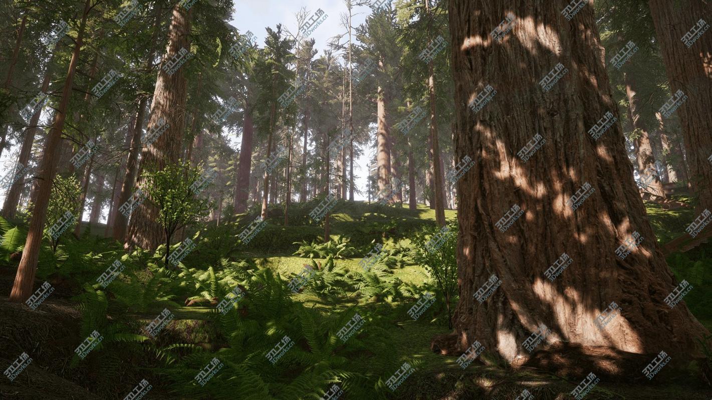 images/goods_img/202105073/Redwood Forest for Game Ready model/4.jpg